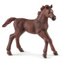 Schleich -  Engl. Vollblut Fohlen
